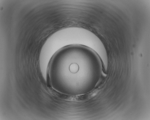 X0000083640080200702261101