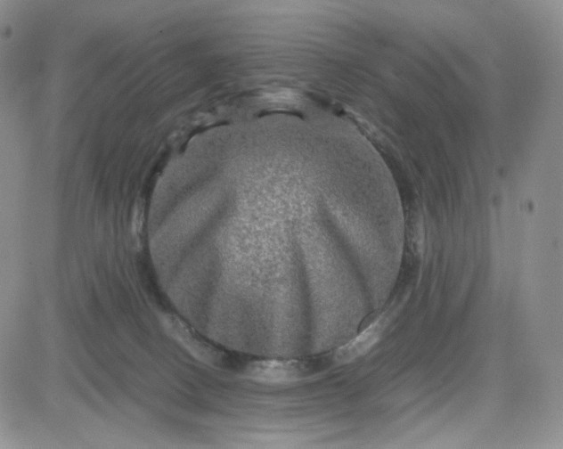 X0000083640082200702261101