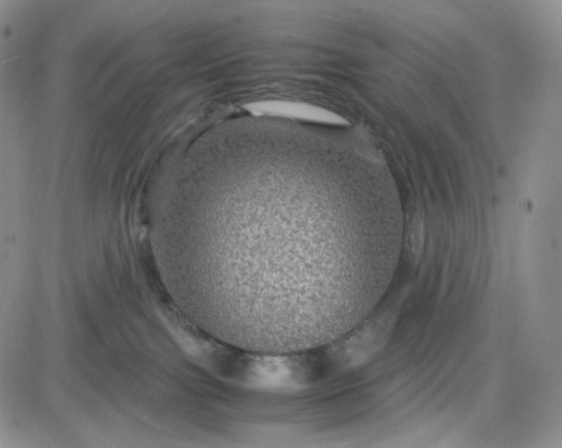 X0000083640091200702261101