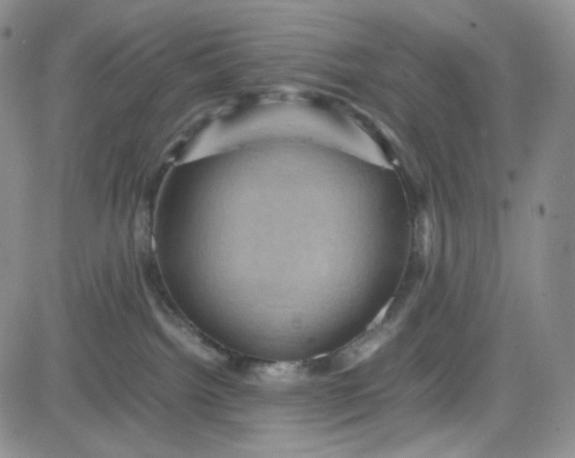 X0000083640092200702261101