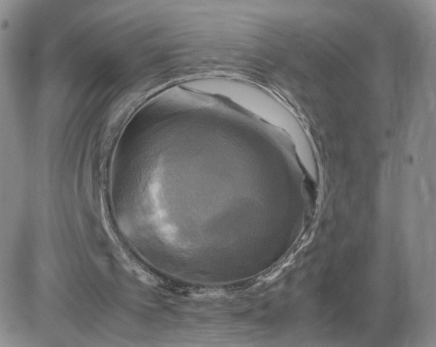 X0000083640097200702261101