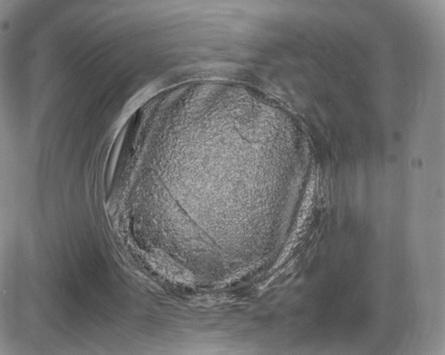 X0000083640099200702261101