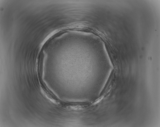 X0000083640100200702261101