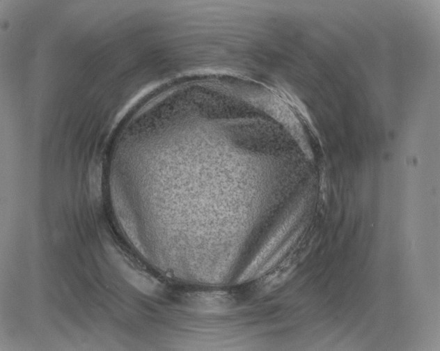 X0000083640108200702261100