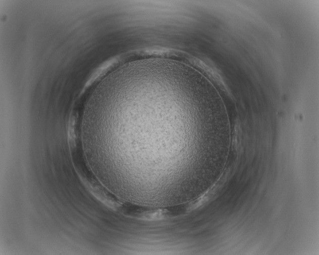 X0000083640116200702261100