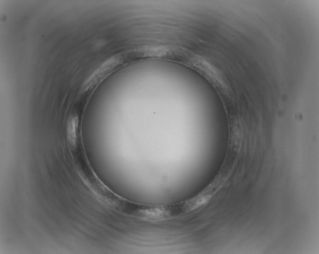 X0000083640118200702261100