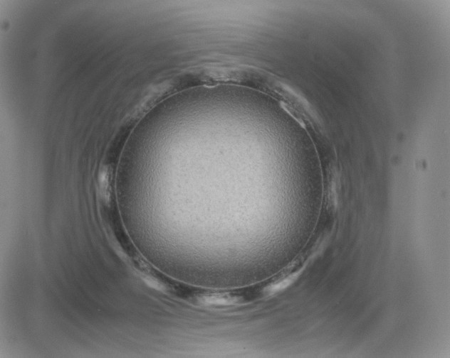 X0000083640121200702261100