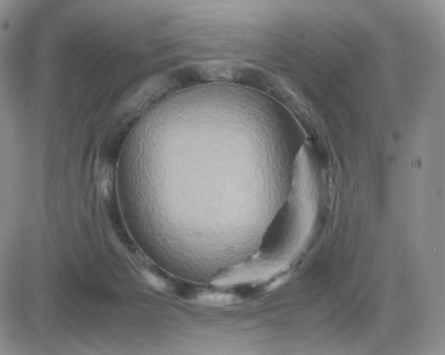 X0000083640125200702261100