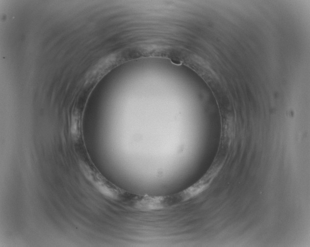 X0000083640138200702261100