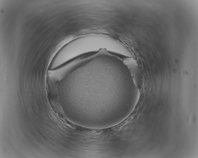 X0000083640148200702261059