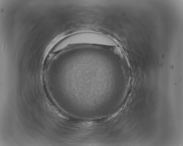 X0000083640152200702261059