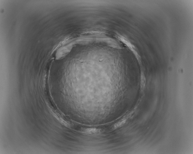 X0000083640153200702261059