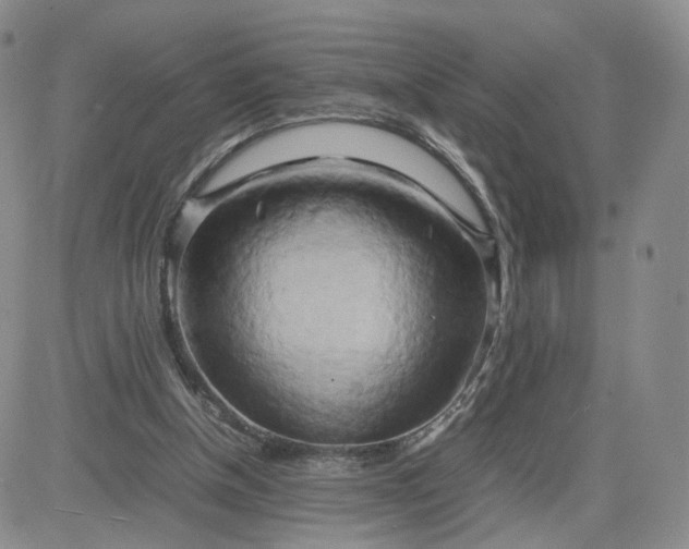 X0000083640154200702261059