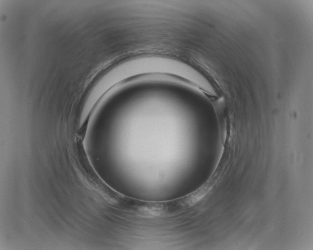 X0000083640164200702261059