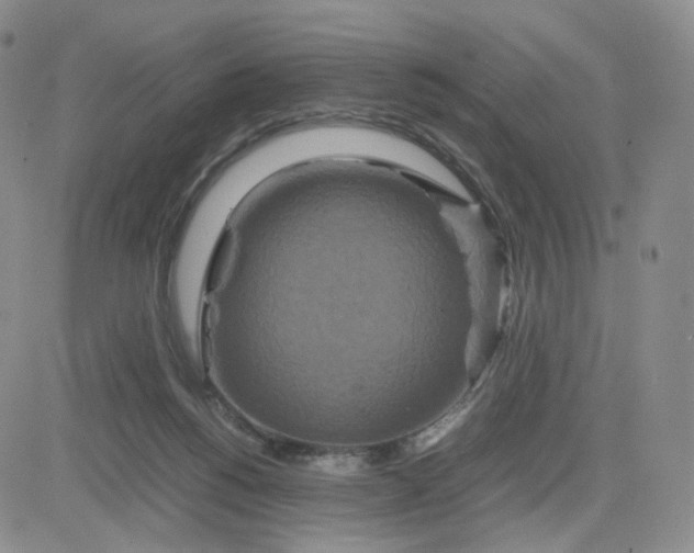 X0000083640168200702261059