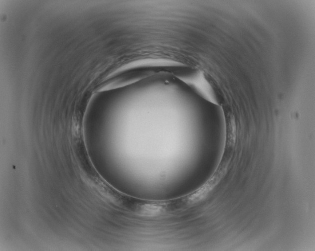 X0000083640176200702261100