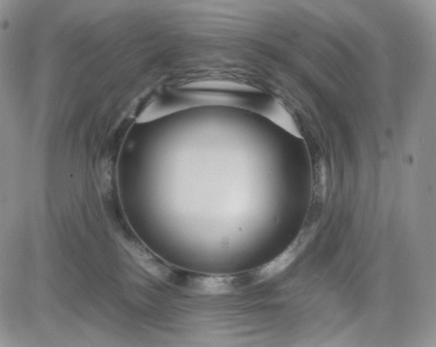 X0000083640184200702261100