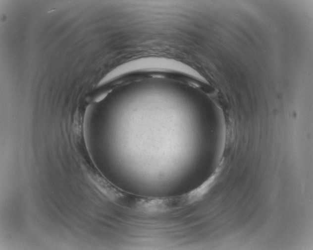 X0000083640186200702261100