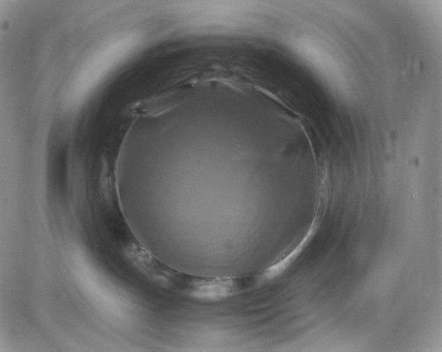 X0000083640191200702261100