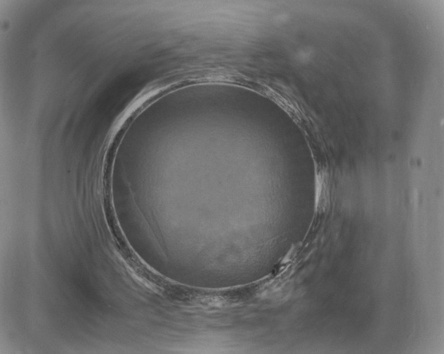 X0000083640195200702261059