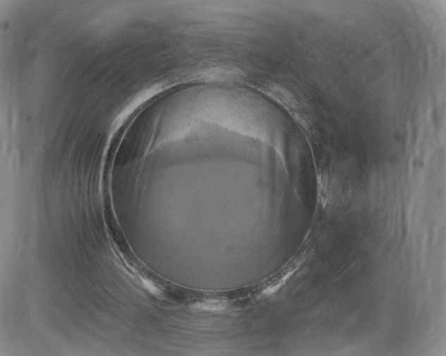 X0000083640196200702261059