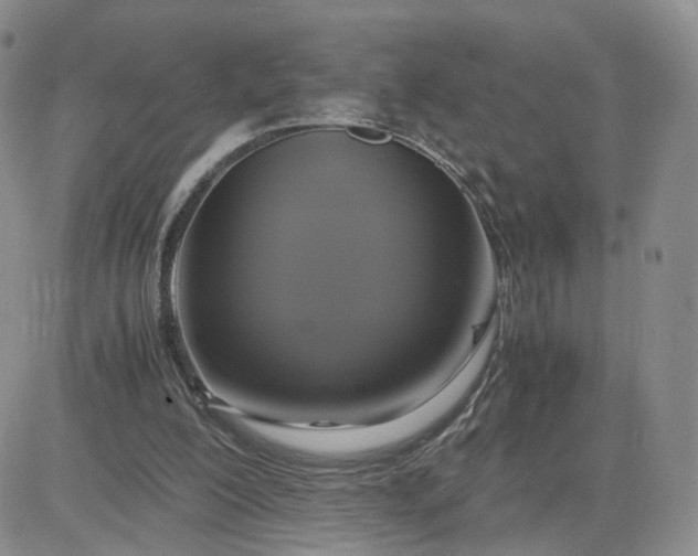 X0000083640200200702261059