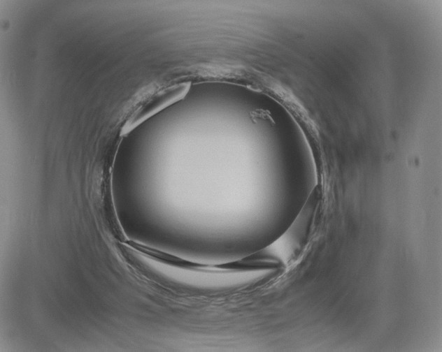 X0000083640201200702261059
