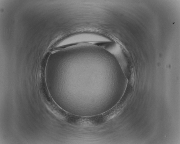 X0000083640207200702261059
