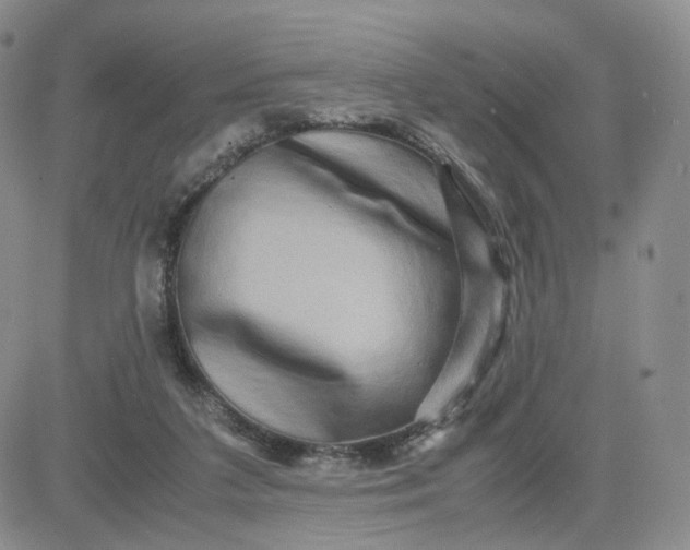 X0000083640211200702261059