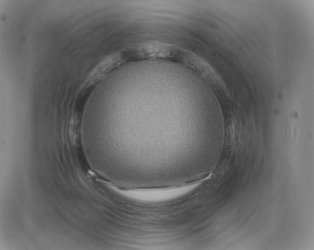 X0000083640218200702261059