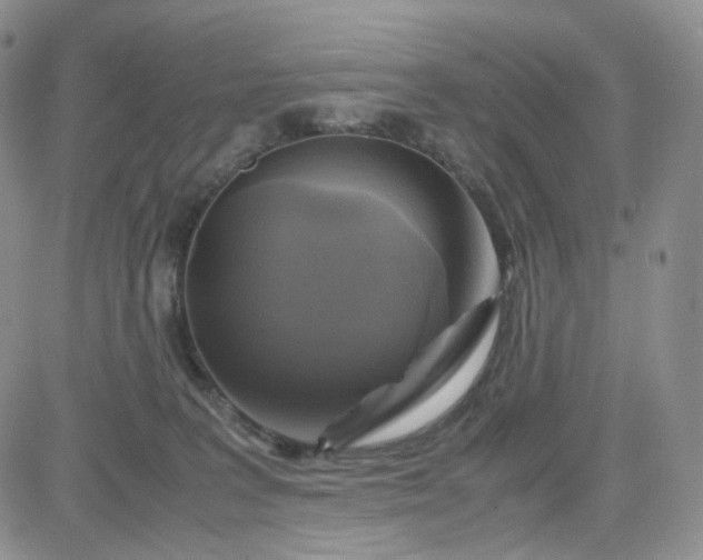 X0000083640227200702261058