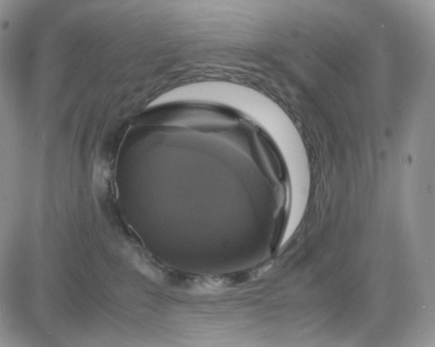 X0000083640235200702261058