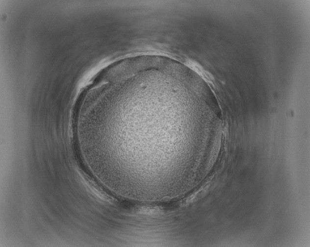 X0000083640248200702261057