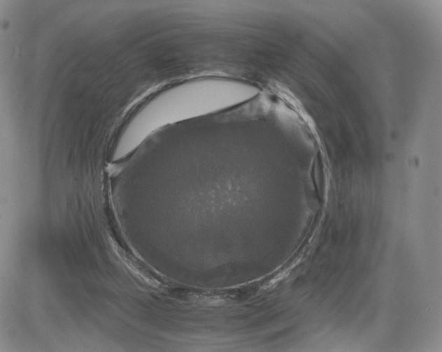 X0000083640249200702261058