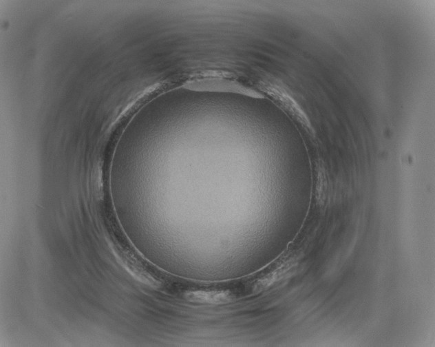 X0000083640251200702261058