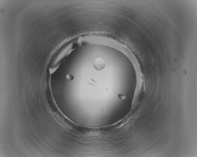 X0000083640252200702261058