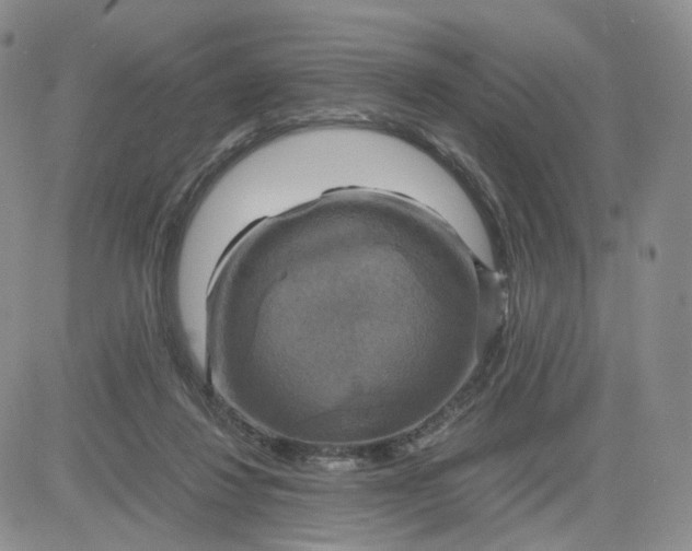 X0000083640260200702261058