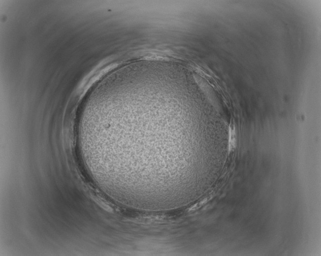 X0000083640291200702261057