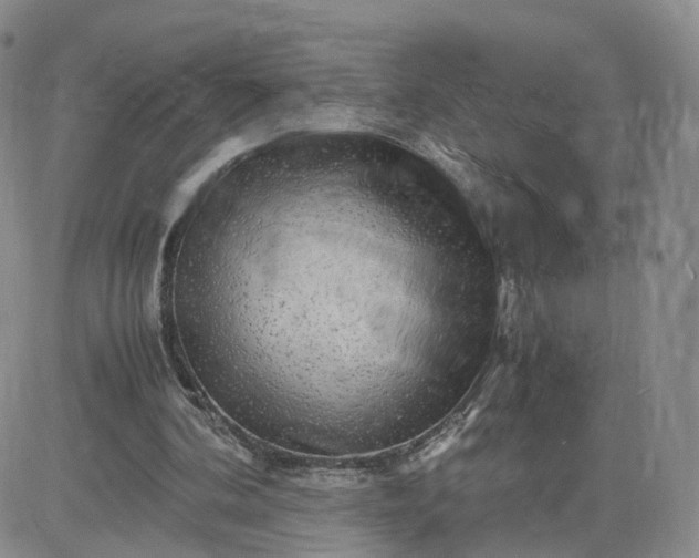 X0000083640292200702261057