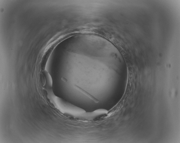 X0000083640295200702261057