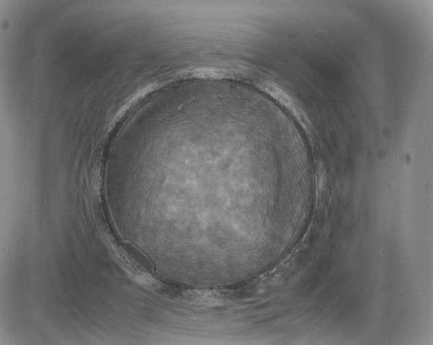 X0000083640297200702261057