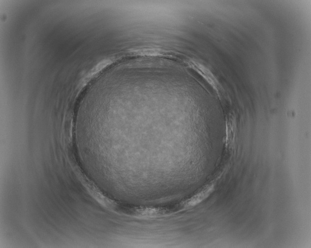 X0000083640301200702261057