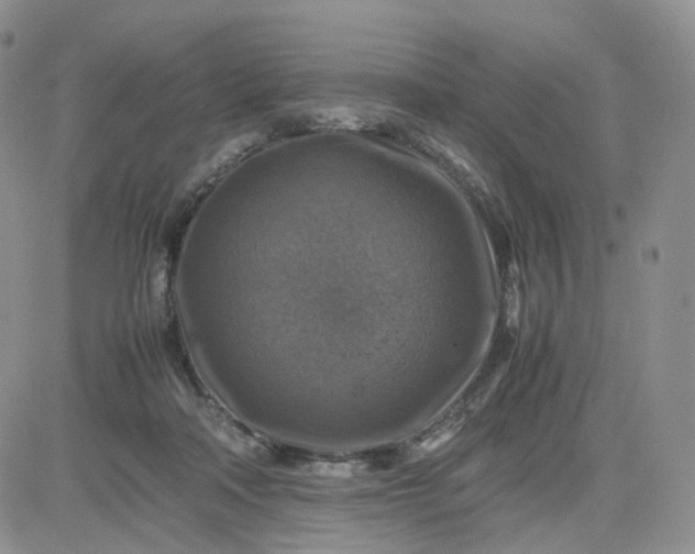 X0000083640314200702261057