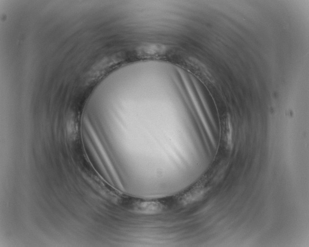 X0000083640324200702261057