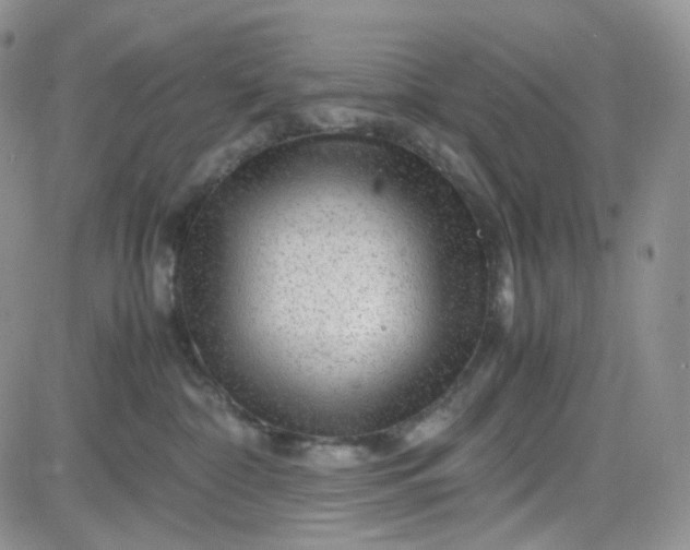X0000083640332200702261057