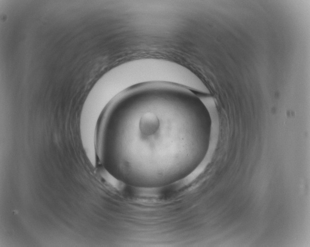 X0000083640336200702261057