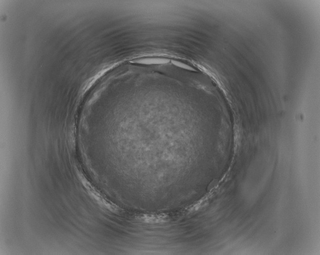 X0000083640345200702261056