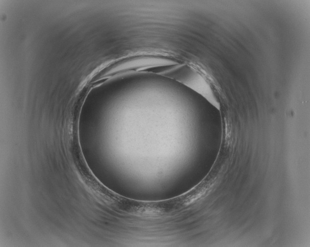 X0000083640348200702261056