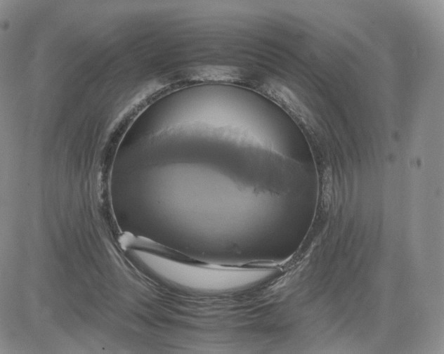 X0000083640351200702261056