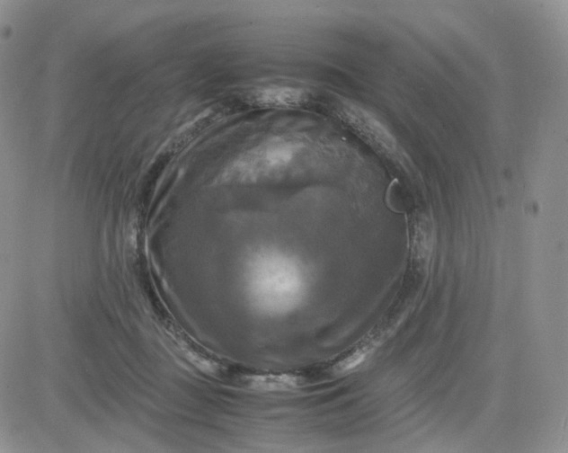 X0000083640363200702261056